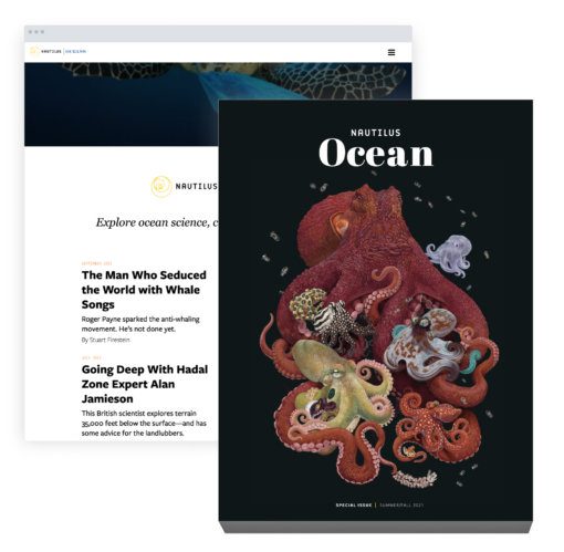 ocean and print bundle illustration